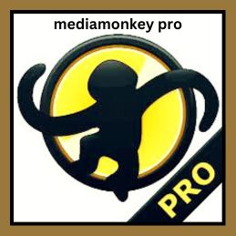 mediamonkey pro